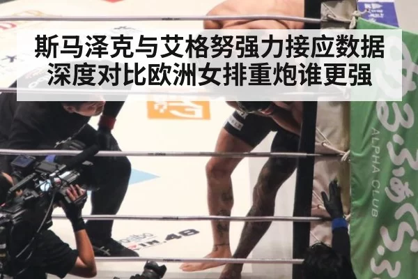 斯马泽克与艾格努强力接应数据深度对比欧洲女排重炮谁更强