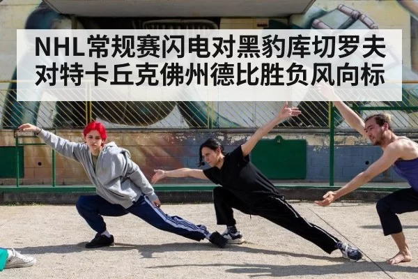 NHL常规赛闪电对黑豹库切罗夫对特卡丘克佛州德比胜负风向标